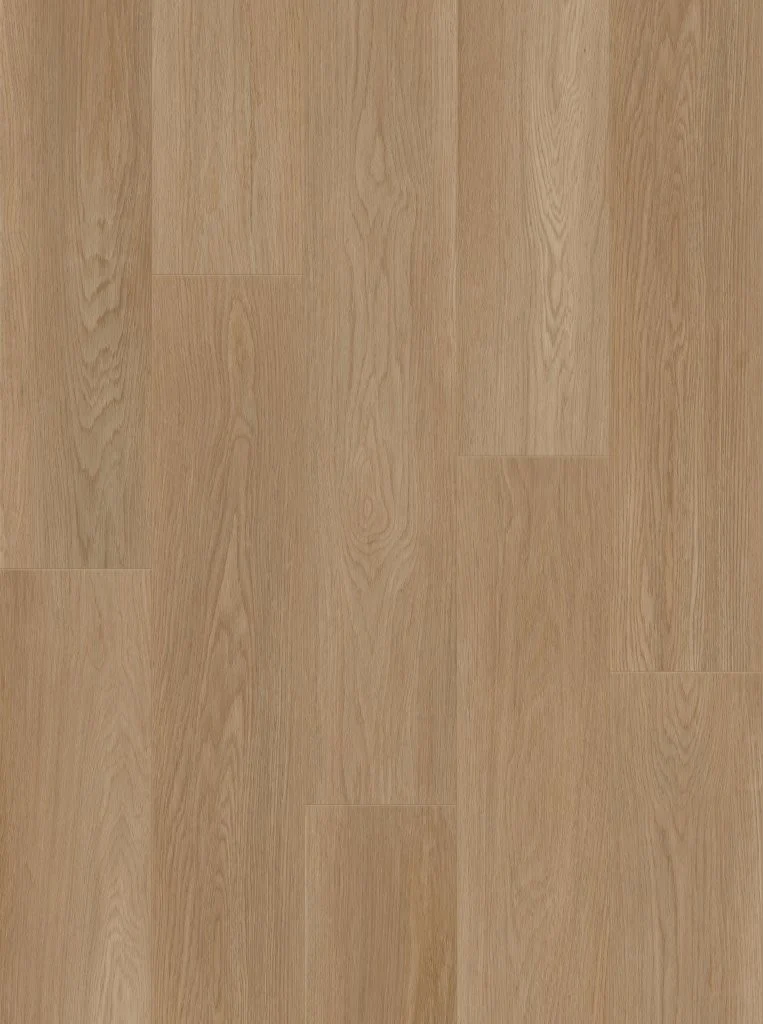 Rigido 500 Maxima Zebrano – foto 2